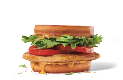 Grilled Chicken Sandwich